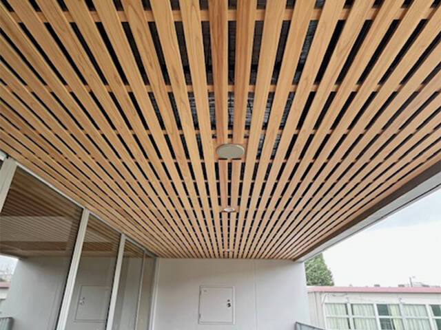 東京都世田谷区N学園